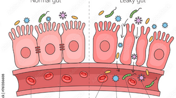 Glyphosate and Gut Health: What It Means for Your Microbiome and How to Build Resilience